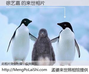 #孟婆来世照相馆# 【徐艺嘉 来世的未来相片】一碗梦婆汤，忘却了今生爱与痛，了无牵挂进入轮回。再相遇，已是天涯陌路人。可否借我一双慧眼，看清今生与来世？孟婆来世照相馆，触摸你的未来。徐艺嘉 来世的未来相片，有图有真相：