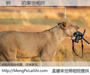 #孟婆来世照相馆# 【忻賢強 来世的未来相片】一碗梦婆汤，忘却了今生爱与痛，了无牵挂进入轮回。再相遇，已是天涯陌路人。可否借我一双慧眼，看清今生与来世？孟婆来世照相馆，触摸你的未来。忻賢強 来世的未来相片，有图有真相：