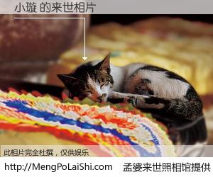 #孟婆来世照相馆# 【小璇 来世的未来相片】一碗梦婆汤，忘却了今生爱与痛，了无牵挂进入轮回。再相遇，已是天涯陌路人。可否借我一双慧眼，看清今生与来世？孟婆来世照相馆，触摸你的未来。小璇 来世的未来相片，有图有真相：