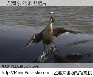 #孟婆来世照相馆# 【尤清东 来世的未来相片】一碗梦婆汤，忘却了今生爱与痛，了无牵挂进入轮回。再相遇，已是天涯陌路人。可否借我一双慧眼，看清今生与来世？孟婆来世照相馆，触摸你的未来。尤清东 来世的未来相片，有图有真相：
