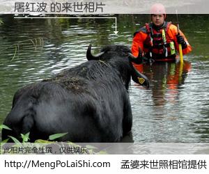 #孟婆来世照相馆# 【屠红波 来世的未来相片】一碗梦婆汤，忘却了今生爱与痛，了无牵挂进入轮回。再相遇，已是天涯陌路人。可否借我一双慧眼，看清今生与来世？孟婆来世照相馆，触摸你的未来。屠红波 来世的未来相片，有图有真相：