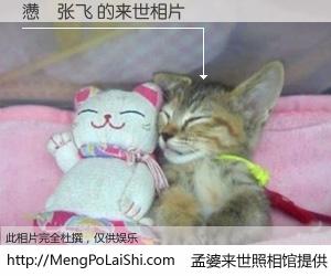 #孟婆来世照相馆# 【懑�张飞 来世的未来相片】一碗梦婆汤，忘却了今生爱与痛，了无牵挂进入轮回。再相遇，已是天涯陌路人。可否借我一双慧眼，看清今生与来世？孟婆来世照相馆，触摸你的未来。懑�张飞 来世的未来相片，有图有真相：