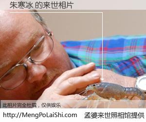 #孟婆来世照相馆# 【朱寒冰 来世的未来相片】一碗梦婆汤，忘却了今生爱与痛，了无牵挂进入轮回。再相遇，已是天涯陌路人。可否借我一双慧眼，看清今生与来世？孟婆来世照相馆，触摸你的未来。朱寒冰 来世的未来相片，有图有真相：