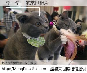 #孟婆来世照相馆# 【李賴夕華 来世的未来相片】一碗梦婆汤，忘却了今生爱与痛，了无牵挂进入轮回。再相遇，已是天涯陌路人。可否借我一双慧眼，看清今生与来世？孟婆来世照相馆，触摸你的未来。李賴夕華 来世的未来相片，有图有真相：