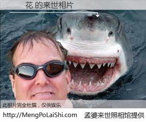 #孟婆来世照相馆# 【楊櫻花 来世的未来相片】一碗梦婆汤，忘却了今生爱与痛，了无牵挂进入轮回。再相遇，已是天涯陌路人。可否借我一双慧眼，看清今生与来世？孟婆来世照相馆，触摸你的未来。楊櫻花 来世的未来相片，有图有真相：