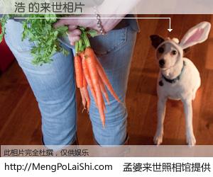 #孟婆来世照相馆# 【浩 来世的未来相片】一碗梦婆汤，忘却了今生爱与痛，了无牵挂进入轮回。再相遇，已是天涯陌路人。可否借我一双慧眼，看清今生与来世？孟婆来世照相馆，触摸你的未来。浩 来世的未来相片，有图有真相：