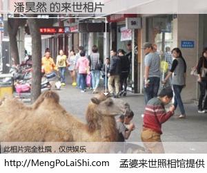 #孟婆来世照相馆# 【潘昊然 来世的未来相片】一碗梦婆汤，忘却了今生爱与痛，了无牵挂进入轮回。再相遇，已是天涯陌路人。可否借我一双慧眼，看清今生与来世？孟婆来世照相馆，触摸你的未来。潘昊然 来世的未来相片，有图有真相：