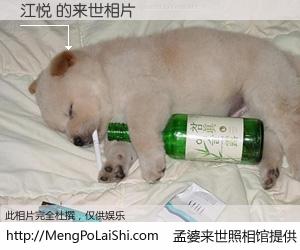 #孟婆来世照相馆# 【江悦 来世的未来相片】一碗梦婆汤，忘却了今生爱与痛，了无牵挂进入轮回。再相遇，已是天涯陌路人。可否借我一双慧眼，看清今生与来世？孟婆来世照相馆，触摸你的未来。江悦 来世的未来相片，有图有真相：