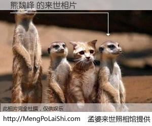 #孟婆来世照相馆# 【熊魏峰 来世的未来相片】一碗梦婆汤，忘却了今生爱与痛，了无牵挂进入轮回。再相遇，已是天涯陌路人。可否借我一双慧眼，看清今生与来世？孟婆来世照相馆，触摸你的未来。熊魏峰 来世的未来相片，有图有真相：