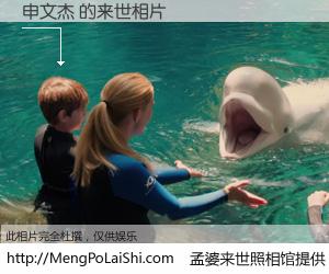 #孟婆来世照相馆# 【申文杰 来世的未来相片】一碗梦婆汤，忘却了今生爱与痛，了无牵挂进入轮回。再相遇，已是天涯陌路人。可否借我一双慧眼，看清今生与来世？孟婆来世照相馆，触摸你的未来。申文杰 来世的未来相片，有图有真相：