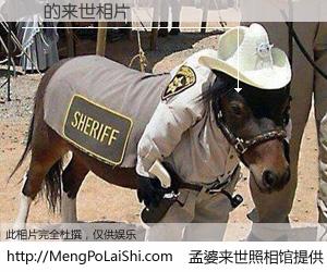 #孟婆来世照相馆# 【穔 来世的未来相片】一碗梦婆汤，忘却了今生爱与痛，了无牵挂进入轮回。再相遇，已是天涯陌路人。可否借我一双慧眼，看清今生与来世？孟婆来世照相馆，触摸你的未来。穔 来世的未来相片，有图有真相：