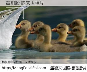 #孟婆来世照相馆# 【章炯毅 来世的未来相片】一碗梦婆汤，忘却了今生爱与痛，了无牵挂进入轮回。再相遇，已是天涯陌路人。可否借我一双慧眼，看清今生与来世？孟婆来世照相馆，触摸你的未来。章炯毅 来世的未来相片，有图有真相：