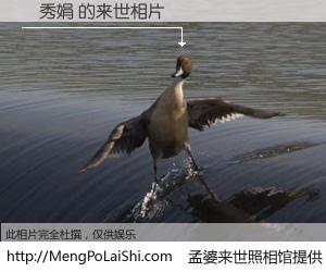 #孟婆来世照相馆# 【羅秀娟 来世的未来相片】一碗梦婆汤，忘却了今生爱与痛，了无牵挂进入轮回。再相遇，已是天涯陌路人。可否借我一双慧眼，看清今生与来世？孟婆来世照相馆，触摸你的未来。羅秀娟 来世的未来相片，有图有真相：