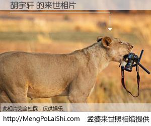 #孟婆来世照相馆# 【胡宇轩 来世的未来相片】一碗梦婆汤，忘却了今生爱与痛，了无牵挂进入轮回。再相遇，已是天涯陌路人。可否借我一双慧眼，看清今生与来世？孟婆来世照相馆，触摸你的未来。胡宇轩 来世的未来相片，有图有真相：