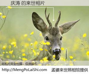 #孟婆来世照相馆# 【蕫庆涛 来世的未来相片】一碗梦婆汤，忘却了今生爱与痛，了无牵挂进入轮回。再相遇，已是天涯陌路人。可否借我一双慧眼，看清今生与来世？孟婆来世照相馆，触摸你的未来。蕫庆涛 来世的未来相片，有图有真相：