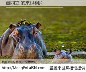 #孟婆来世照相馆# 【董四立 来世的未来相片】一碗梦婆汤，忘却了今生爱与痛，了无牵挂进入轮回。再相遇，已是天涯陌路人。可否借我一双慧眼，看清今生与来世？孟婆来世照相馆，触摸你的未来。董四立 来世的未来相片，有图有真相：