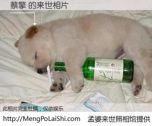 #孟婆来世照相馆# 【蔡擎 来世的未来相片】一碗梦婆汤，忘却了今生爱与痛，了无牵挂进入轮回。再相遇，已是天涯陌路人。可否借我一双慧眼，看清今生与来世？孟婆来世照相馆，触摸你的未来。蔡擎 来世的未来相片，有图有真相：