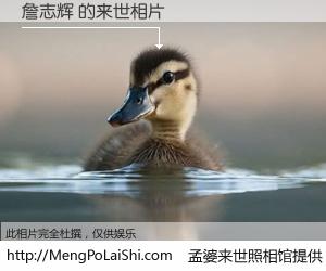 #孟婆来世照相馆# 【詹志辉 来世的未来相片】一碗梦婆汤，忘却了今生爱与痛，了无牵挂进入轮回。再相遇，已是天涯陌路人。可否借我一双慧眼，看清今生与来世？孟婆来世照相馆，触摸你的未来。詹志辉 来世的未来相片，有图有真相：