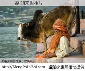 #孟婆来世照相馆# 【謝曉荔 来世的未来相片】一碗梦婆汤，忘却了今生爱与痛，了无牵挂进入轮回。再相遇，已是天涯陌路人。可否借我一双慧眼，看清今生与来世？孟婆来世照相馆，触摸你的未来。謝曉荔 来世的未来相片，有图有真相：