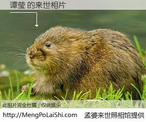 #孟婆来世照相馆# 【谭莹 来世的未来相片】一碗梦婆汤，忘却了今生爱与痛，了无牵挂进入轮回。再相遇，已是天涯陌路人。可否借我一双慧眼，看清今生与来世？孟婆来世照相馆，触摸你的未来。谭莹 来世的未来相片，有图有真相：