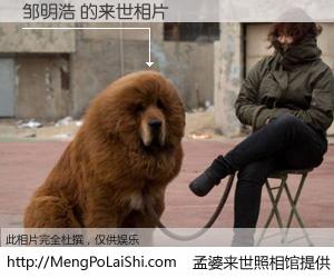 #孟婆来世照相馆# 【邹明浩 来世的未来相片】一碗梦婆汤，忘却了今生爱与痛，了无牵挂进入轮回。再相遇，已是天涯陌路人。可否借我一双慧眼，看清今生与来世？孟婆来世照相馆，触摸你的未来。邹明浩 来世的未来相片，有图有真相：