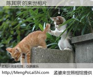 #孟婆来世照相馆# 【陈其宗 来世的未来相片】一碗梦婆汤，忘却了今生爱与痛，了无牵挂进入轮回。再相遇，已是天涯陌路人。可否借我一双慧眼，看清今生与来世？孟婆来世照相馆，触摸你的未来。陈其宗 来世的未来相片，有图有真相：