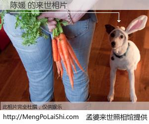 #孟婆来世照相馆# 【陈媛 来世的未来相片】一碗梦婆汤，忘却了今生爱与痛，了无牵挂进入轮回。再相遇，已是天涯陌路人。可否借我一双慧眼，看清今生与来世？孟婆来世照相馆，触摸你的未来。陈媛 来世的未来相片，有图有真相：