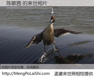 #孟婆来世照相馆# 【陈敏茜 来世的未来相片】一碗梦婆汤，忘却了今生爱与痛，了无牵挂进入轮回。再相遇，已是天涯陌路人。可否借我一双慧眼，看清今生与来世？孟婆来世照相馆，触摸你的未来。陈敏茜 来世的未来相片，有图有真相：