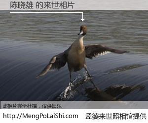 #孟婆来世照相馆# 【陈晓雄 来世的未来相片】一碗梦婆汤，忘却了今生爱与痛，了无牵挂进入轮回。再相遇，已是天涯陌路人。可否借我一双慧眼，看清今生与来世？孟婆来世照相馆，触摸你的未来。陈晓雄 来世的未来相片，有图有真相：