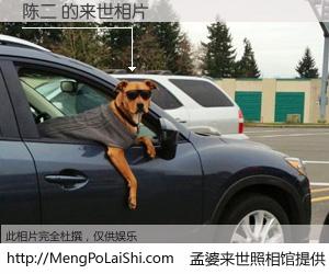 #孟婆来世照相馆# 【陈二 来世的未来相片】一碗梦婆汤，忘却了今生爱与痛，了无牵挂进入轮回。再相遇，已是天涯陌路人。可否借我一双慧眼，看清今生与来世？孟婆来世照相馆，触摸你的未来。陈二 来世的未来相片，有图有真相：