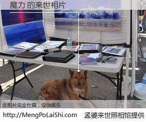 #孟婆来世照相馆# 【魔力 来世的未来相片】一碗梦婆汤，忘却了今生爱与痛，了无牵挂进入轮回。再相遇，已是天涯陌路人。可否借我一双慧眼，看清今生与来世？孟婆来世照相馆，触摸你的未来。魔力 来世的未来相片，有图有真相：