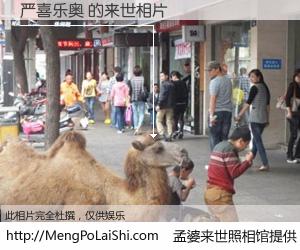 #孟婆来世照相馆# 【严喜乐奥 来世的未来相片】一碗梦婆汤，忘却了今生爱与痛，了无牵挂进入轮回。再相遇，已是天涯陌路人。可否借我一双慧眼，看清今生与来世？孟婆来世照相馆，触摸你的未来。严喜乐奥 来世的未来相片，有图有真相：