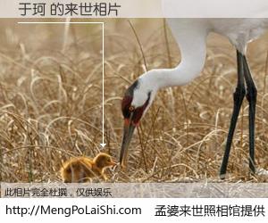 #孟婆来世照相馆# 【于珂 来世的未来相片】一碗梦婆汤，忘却了今生爱与痛，了无牵挂进入轮回。再相遇，已是天涯陌路人。可否借我一双慧眼，看清今生与来世？孟婆来世照相馆，触摸你的未来。于珂 来世的未来相片，有图有真相：