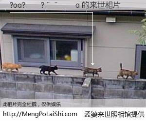 #孟婆来世照相馆# 【?oa?��?����a 来世的未来相片】一碗梦婆汤，忘却了今生爱与痛，了无牵挂进入轮回。再相遇，已是天涯陌路人。可否借我一双慧眼，看清今生与来世？孟婆来世照相馆，触摸你的未来。?oa?��?����a 来世的未来相片，有图有真相：