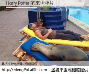 #孟婆来世照相馆# 【Harry Potter 来世的未来相片】一碗梦婆汤，忘却了今生爱与痛，了无牵挂进入轮回。再相遇，已是天涯陌路人。可否借我一双慧眼，看清今生与来世？孟婆来世照相馆，触摸你的未来。Harry Potter 来世的未来相片，有图有真相：