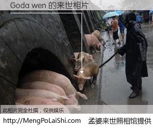 #孟婆来世照相馆# 【Goda wen 来世的未来相片】一碗梦婆汤，忘却了今生爱与痛，了无牵挂进入轮回。再相遇，已是天涯陌路人。可否借我一双慧眼，看清今生与来世？孟婆来世照相馆，触摸你的未来。Goda wen 来世的未来相片，有图有真相：