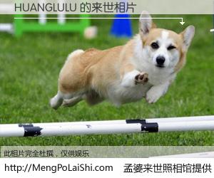 #孟婆来世照相馆# 【HUANGLULU 来世的未来相片】一碗梦婆汤，忘却了今生爱与痛，了无牵挂进入轮回。再相遇，已是天涯陌路人。可否借我一双慧眼，看清今生与来世？孟婆来世照相馆，触摸你的未来。HUANGLULU 来世的未来相片，有图有真相：