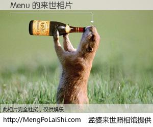 #孟婆来世照相馆# 【Menu 来世的未来相片】一碗梦婆汤，忘却了今生爱与痛，了无牵挂进入轮回。再相遇，已是天涯陌路人。可否借我一双慧眼，看清今生与来世？孟婆来世照相馆，触摸你的未来。Menu 来世的未来相片，有图有真相：