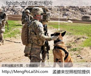 #孟婆来世照相馆# 【fghgfhgfhf 来世的未来相片】一碗梦婆汤，忘却了今生爱与痛，了无牵挂进入轮回。再相遇，已是天涯陌路人。可否借我一双慧眼，看清今生与来世？孟婆来世照相馆，触摸你的未来。fghgfhgfhf 来世的未来相片，有图有真相：