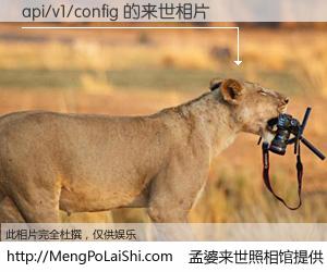 #孟婆来世照相馆# 【api/v1/config 来世的未来相片】一碗梦婆汤，忘却了今生爱与痛，了无牵挂进入轮回。再相遇，已是天涯陌路人。可否借我一双慧眼，看清今生与来世？孟婆来世照相馆，触摸你的未来。api/v1/config 来世的未来相片，有图有真相：