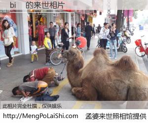 #孟婆来世照相馆# 【bi屄 来世的未来相片】一碗梦婆汤，忘却了今生爱与痛，了无牵挂进入轮回。再相遇，已是天涯陌路人。可否借我一双慧眼，看清今生与来世？孟婆来世照相馆，触摸你的未来。bi屄 来世的未来相片，有图有真相：