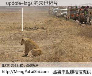 #孟婆来世照相馆# 【update-logs 来世的未来相片】一碗梦婆汤，忘却了今生爱与痛，了无牵挂进入轮回。再相遇，已是天涯陌路人。可否借我一双慧眼，看清今生与来世？孟婆来世照相馆，触摸你的未来。update-logs 来世的未来相片，有图有真相：