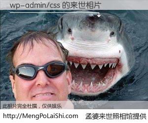 #孟婆来世照相馆# 【wp-admin/css 来世的未来相片】一碗梦婆汤，忘却了今生爱与痛，了无牵挂进入轮回。再相遇，已是天涯陌路人。可否借我一双慧眼，看清今生与来世？孟婆来世照相馆，触摸你的未来。wp-admin/css 来世的未来相片，有图有真相：