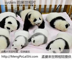 #孟婆来世照相馆# 【system 来世的未来相片】一碗梦婆汤，忘却了今生爱与痛，了无牵挂进入轮回。再相遇，已是天涯陌路人。可否借我一双慧眼，看清今生与来世？孟婆来世照相馆，触摸你的未来。system 来世的未来相片，有图有真相：