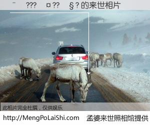 #孟婆来世照相馆# 【��???��??��? 来世的未来相片】一碗梦婆汤，忘却了今生爱与痛，了无牵挂进入轮回。再相遇，已是天涯陌路人。可否借我一双慧眼，看清今生与来世？孟婆来世照相馆，触摸你的未来。��???��??��? 来世的未来相片，有图有真相：