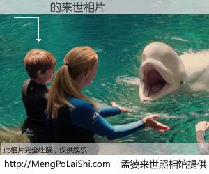 #孟婆来世照相馆# 【�Ť� 来世的未来相片】一碗梦婆汤，忘却了今生爱与痛，了无牵挂进入轮回。再相遇，已是天涯陌路人。可否借我一双慧眼，看清今生与来世？孟婆来世照相馆，触摸你的未来。�Ť� 来世的未来相片，有图有真相：