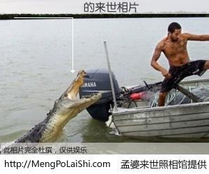 #孟婆来世照相馆# 【������ 来世的未来相片】一碗梦婆汤，忘却了今生爱与痛，了无牵挂进入轮回。再相遇，已是天涯陌路人。可否借我一双慧眼，看清今生与来世？孟婆来世照相馆，触摸你的未来。������ 来世的未来相片，有图有真相：