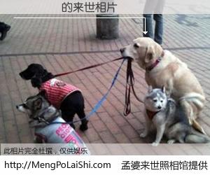 #孟婆来世照相馆# 【��� 来世的未来相片】一碗梦婆汤，忘却了今生爱与痛，了无牵挂进入轮回。再相遇，已是天涯陌路人。可否借我一双慧眼，看清今生与来世？孟婆来世照相馆，触摸你的未来。��� 来世的未来相片，有图有真相：