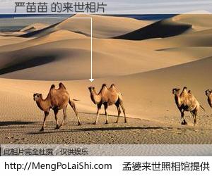 #孟婆来世照相馆# 【严苗苗 来世的未来相片】一碗梦婆汤，忘却了今生爱与痛，了无牵挂进入轮回。再相遇，已是天涯陌路人。可否借我一双慧眼，看清今生与来世？孟婆来世照相馆，触摸你的未来。严苗苗 来世的未来相片，有图有真相：