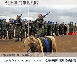 #孟婆来世照相馆# 【倪汪洋 来世的未来相片】一碗梦婆汤，忘却了今生爱与痛，了无牵挂进入轮回。再相遇，已是天涯陌路人。可否借我一双慧眼，看清今生与来世？孟婆来世照相馆，触摸你的未来。倪汪洋 来世的未来相片，有图有真相：